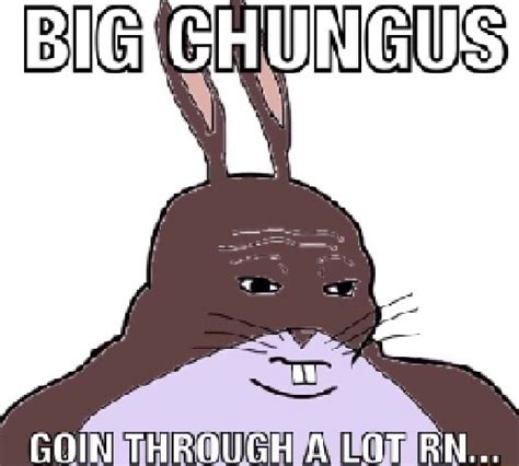 Big Chungus Goin Through a Lot | Ironic Big Chungus Memes | Know Your Meme