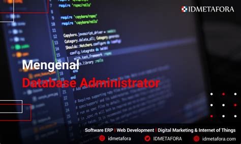 Mengenal Database Administrator Pengertian Tugas Jenis Skill Dan