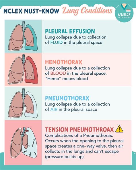 Pin By Megan Delaet On Nursing In 2023 Medical School Essentials