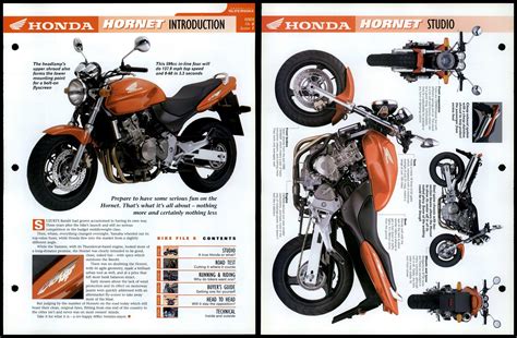 Honda Hornet Introduction Studio Essential Superbike Data File Page