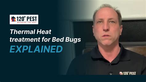 Thermal Heat Treatment For Bed Bugs Removal 120 Pest