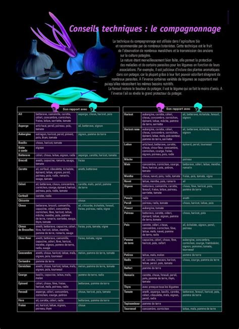 PDF Conseils Techniques Le Compagnonnage 2019 9 9 La