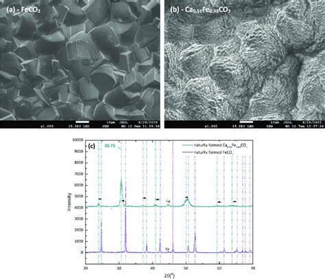 Surface Morphology And Composition Of The Corrosion Products The