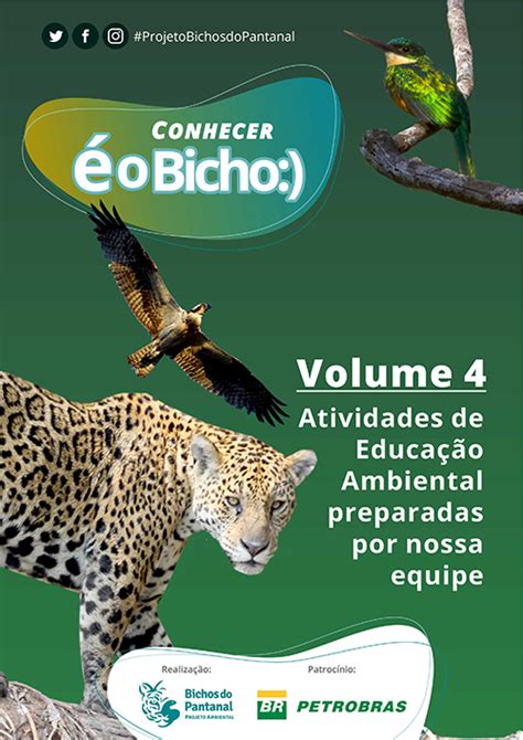 Bichos Do Pantanal Projeto Ambiental