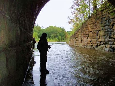 Pin By Greg On Steelhead Alley Steelhead Fishing Elk Creek Fishing