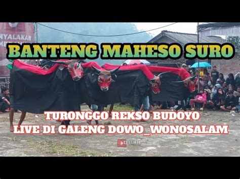 Banteng Maheso Suro Bersama Jaranan Turonggo Rekso Budoyo Live Di Desa