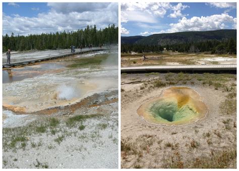 Yellowstone // geysers, hot springs, and bison