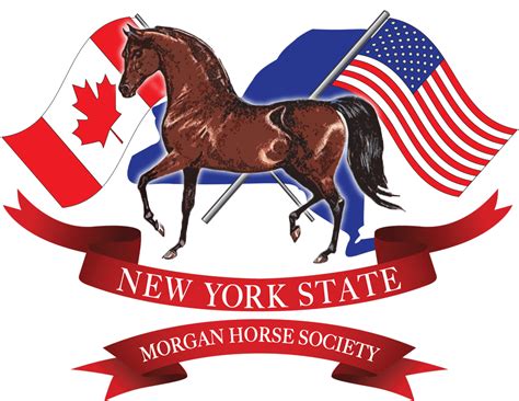 Contact Us New York State Morgan Horse Society