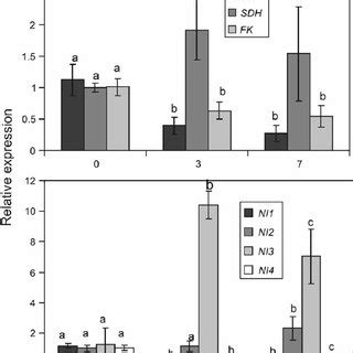 Expression Analysis Of Transcripts Of Enzymes Involved In Carbon