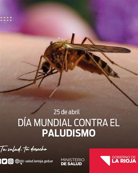 Ministerio De Salud De La Rioja On Twitter De Abril D A Mundial