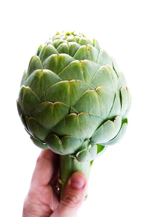 How To Cook and Eat an Artichoke - Gimme Some Oven