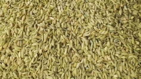 Sauff Fennel Seeds At Rs Kg Saunf Beej In Unjha Id