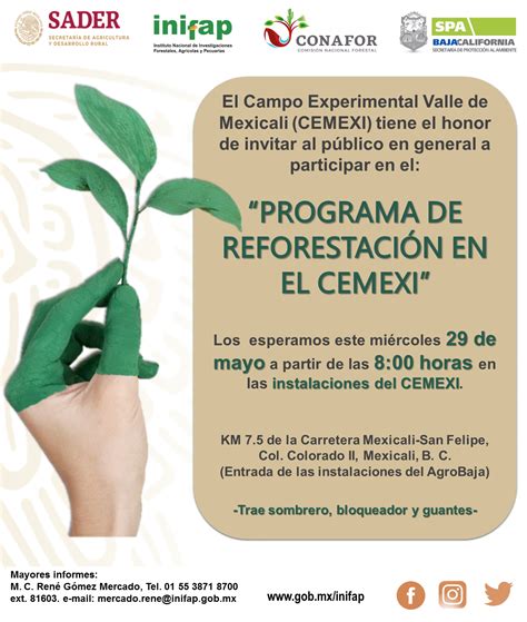 Programa de reforestación en el CEMEXI Instituto Nacional de