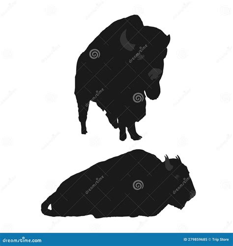 Silhouette Two Bison Are Standing And Sitting With White Background