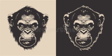 Set Of Vintage Retro Angry Monkeys Can Be Used For Logo Emblem