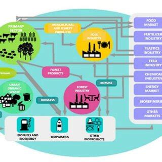 Sectores y relaciones de la bioeconomía Download Scientific Diagram