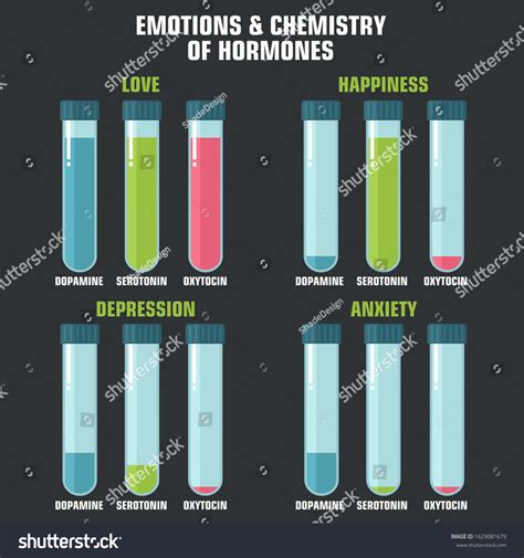 Vector Science Icon Emotion Chemistry Hormones 库存插图 1629081679