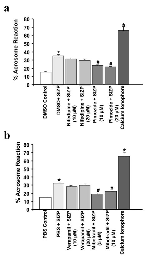 Sizp Mediated Induction Of Acrosome Reaction In Capacitated Human Sperm