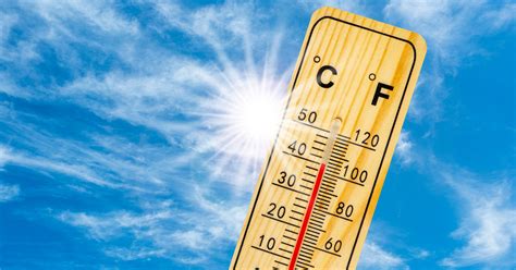 Navigating The Mental Toll Of Extreme Heat Caregivers Guide To