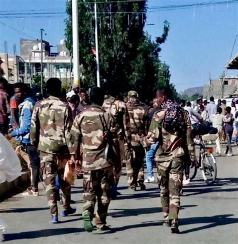 The Tigray War Was Tragic, Can Peace Prevail Now? – Martin Plaut