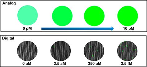 Large Area Interfaces For Single Molecule Label Free Bioelectronic