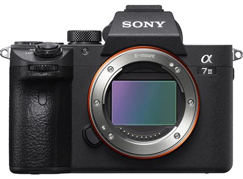 Sony A7 III Review - Autofocus