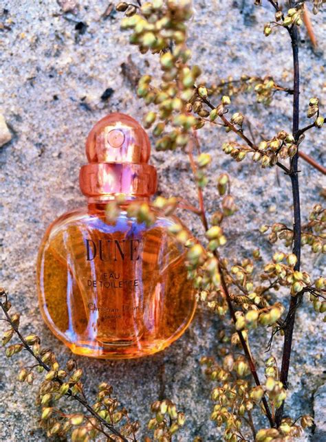 Dune Dior Perfume A Fragr Ncia Feminino