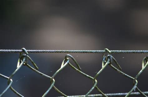 Free Images Tree Nature Grass Branch Light Blur Fence Barbed