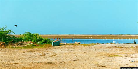 7 places to visit in Rameshwaram for a memorable trip - Framedventures