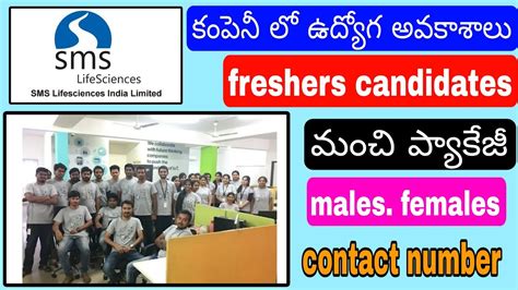 Sms Life Science Company Recruitment For Freshers And Experience