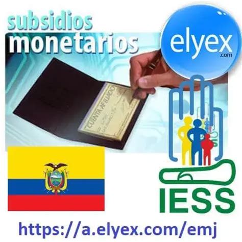 Subsidios Monetarios Iess Servicios En L Nea