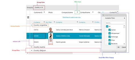 Structure Radgridview Telerik Ui For Winforms