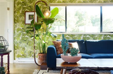 The Best Tropical House Plants | Apartment Therapy