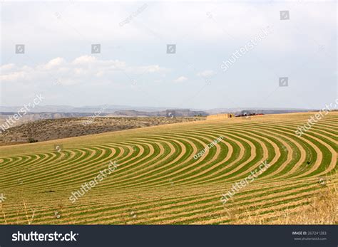 17,910 Contour farming Images, Stock Photos & Vectors | Shutterstock