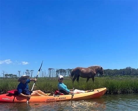 Assateague Island National Seashore All You Need To Know Before You Go 2025