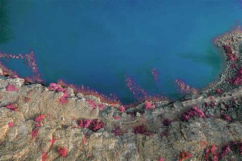 Pink Vibe On Behance
