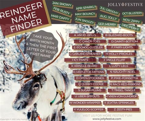 What's Your Reindeer Name? - Jolly Festive