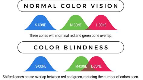 What is color blindness – EnChroma