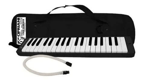 Melodica Notas Con Estuche Y Dos Boquillas Cuotas Sin Inter S