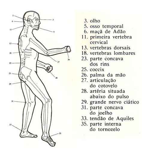 18 666 Alguns Pontos Vitais Do Corpo Humano