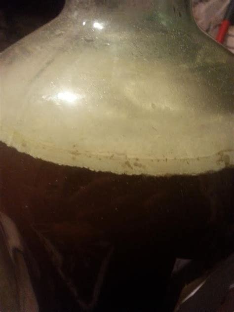 Help White Moldy Film On Wine With Pictures Homebrew Talk Beer