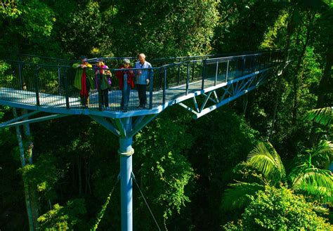 Tamborine Rainforest Skywalk - Family Parks