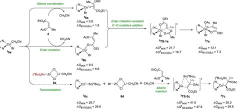 Theoretical Study On The Mechanism Of Cobalt Catalyzed Co Silylation