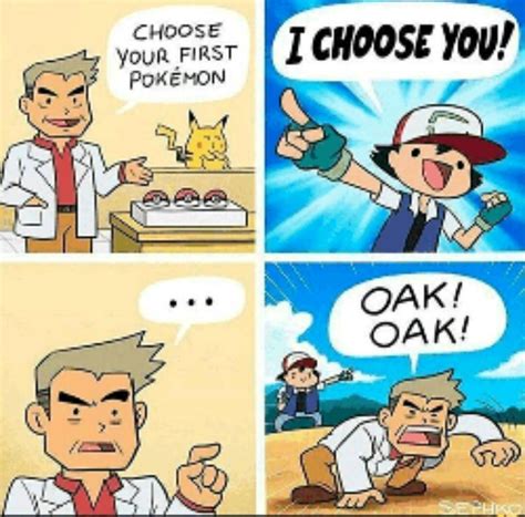 Memes De Pok Mon Pokemon Memes Pokemon Pokemon Funny