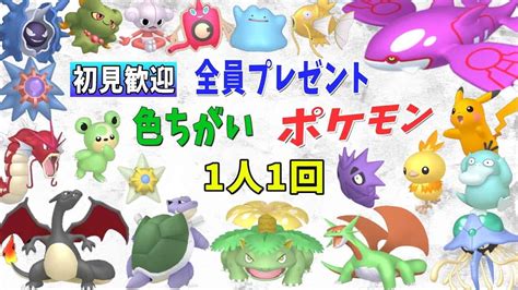 【ポケモン ダイパリメイク】初見歓迎 今夜だけの色違いポケモン配布 合計120匹！【色違いカイオーガ】【とくせいパッチ】の抽選もあります