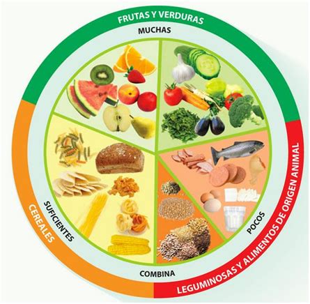 Nutrientes En La Alimentaci N De Las Personas Mayores Firagran