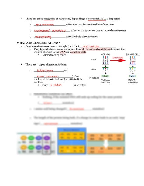 Solution Gene Mutations Worksheet Answer Key Studypool