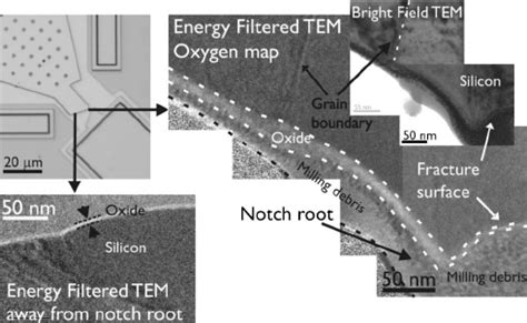 Energy Filtered Transmission Electron Microscopy Eftem Images Of