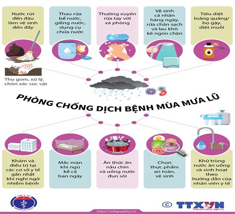 Hướng dẫn phòng chống dịch bệnh trong mưa bão lũ lụt