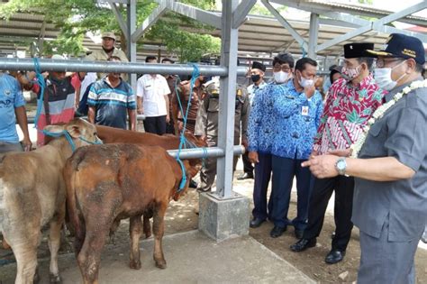 Pemkab Tulungagung Resmikan Pasar Hewan Terpadu Antara News Jawa Timur